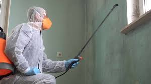 Best Forensic Mold Investigation  in Samsula Spruce Creek, FL